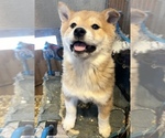 Small #3 Breeder Profile image