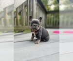 Small breeder photo