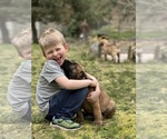 Small #11 Breeder Profile image