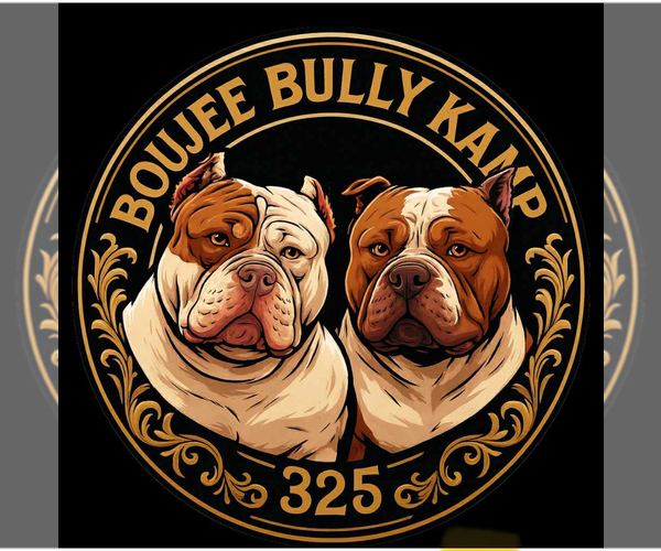 Medium Photo #8  Breeder Profile in ABILENE, TX, USA