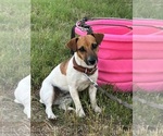 Small #15 Breeder Profile image