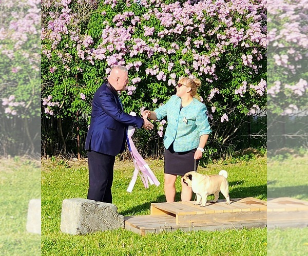Medium Photo #1  Breeder Profile in West Carleton, Ontario, Canada