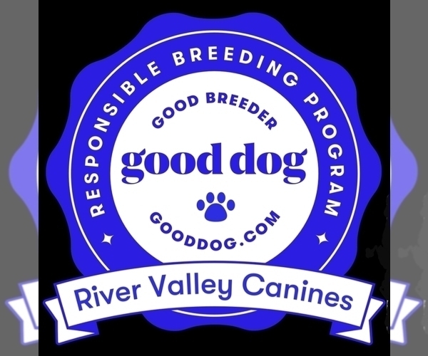 Medium Photo #1  Breeder Profile in ELDORA, IA, USA