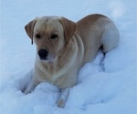 Small breeder photo