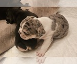 Small #23 Breeder Profile image