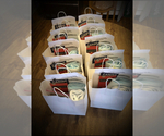 Small Photo #4  Breeder Profile in BELDING, MI, USA