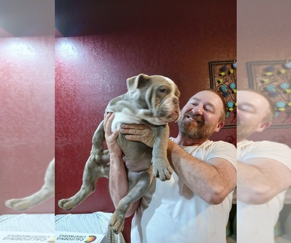Medium Photo #7  Breeder Profile in MCALESTER, OK, USA