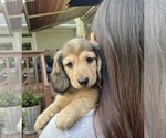 Small #1 Breeder Profile image