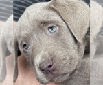 Small #14 Breeder Profile image