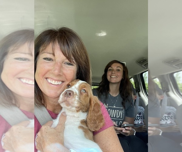 Medium Photo #106  Breeder Profile in HORTENSE, GA, USA