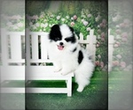Small #16 Breeder Profile image