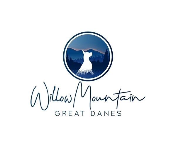 Medium Photo #1  Breeder Profile in PRAIRIEVILLE, LA, USA