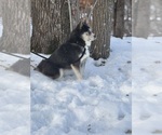 Small #27 Breeder Profile image