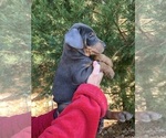 Small #46 Breeder Profile image
