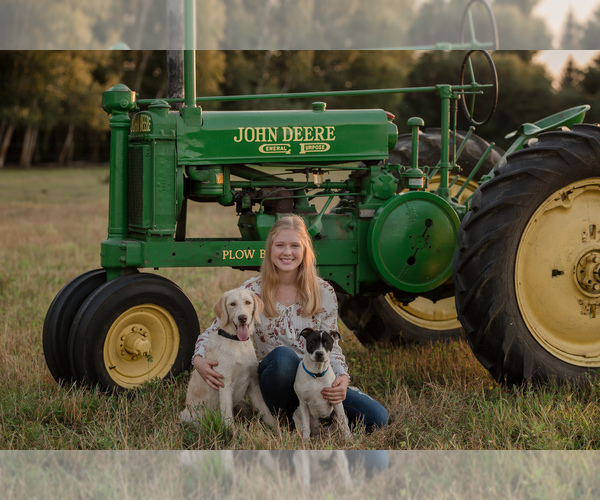 Medium Photo #1  Breeder Profile in MERRILL, MI, USA