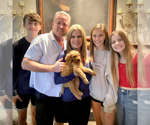 Medium Photo #1  Breeder Profile in HOUSTON, TX, USA