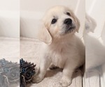 Small #1 Breeder Profile image