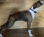 Small #14 Breeder Profile image