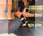 Small #4 Breeder Profile image