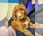 Small #6 Breeder Profile image