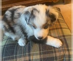 Small #12 Breeder Profile image