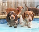 Small #5 Breeder Profile image