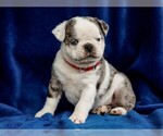 Small #5 Breeder Profile image