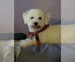 Small #17 Breeder Profile image
