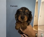 Small #3 Breeder Profile image