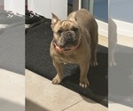 Small #3 Breeder Profile image