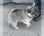 Small #16 Breeder Profile image