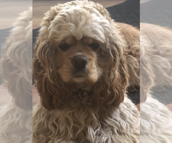 Medium Photo #1  Breeder Profile in BARRINGTON, RI, USA