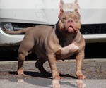 Small #6 Breeder Profile image