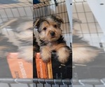 Small #160 Breeder Profile image