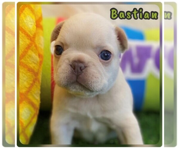 Medium Photo #1  Breeder Profile in RICHMOND, VA, USA