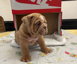 Small #3 Breeder Profile image