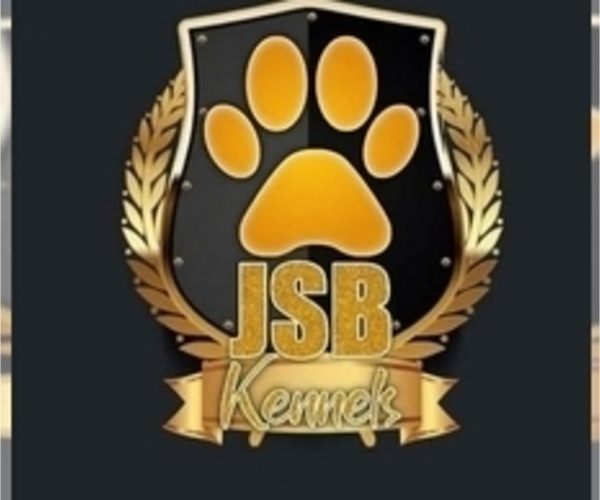 Medium Photo #1  Breeder Profile in CLEVELAND, OH, USA