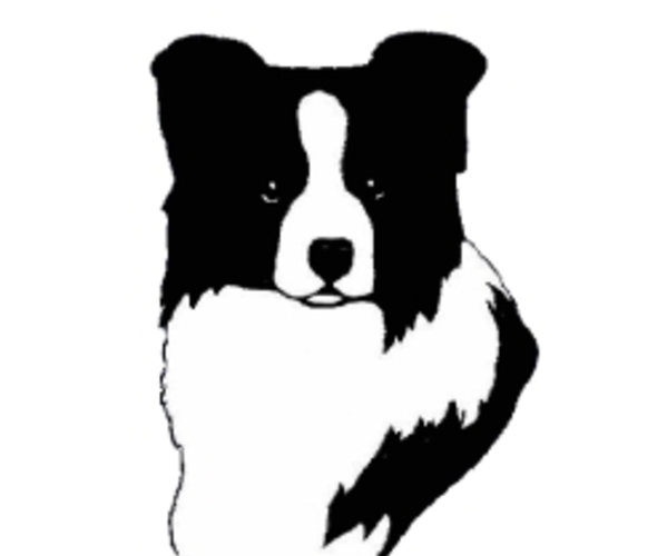Medium Photo #1  Breeder Profile in PEYTON, CO, USA