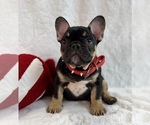 Small #47 Breeder Profile image