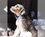 Small #3 Breeder Profile image