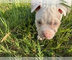 Small #25 Breeder Profile image