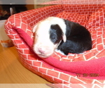 Small #3 Breeder Profile image