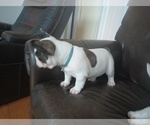 Small #4 Breeder Profile image