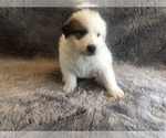 Small #4 Breeder Profile image