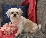 Small #29 Breeder Profile image