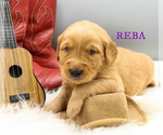 Small #4 Breeder Profile image