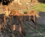 Small #7 Breeder Profile image