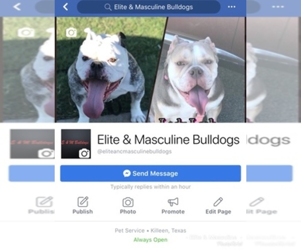 Medium Photo #1  Breeder Profile in KILLEEN, TX, USA