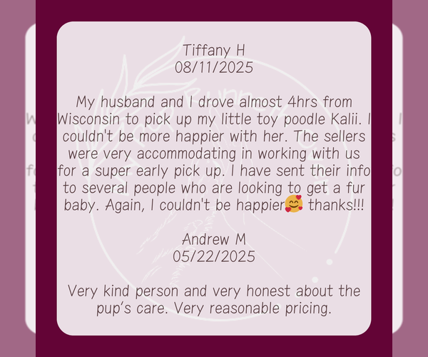 Medium Photo #7  Breeder Profile in GOSHEN, IN, USA