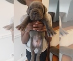 Small #1 Breeder Profile image